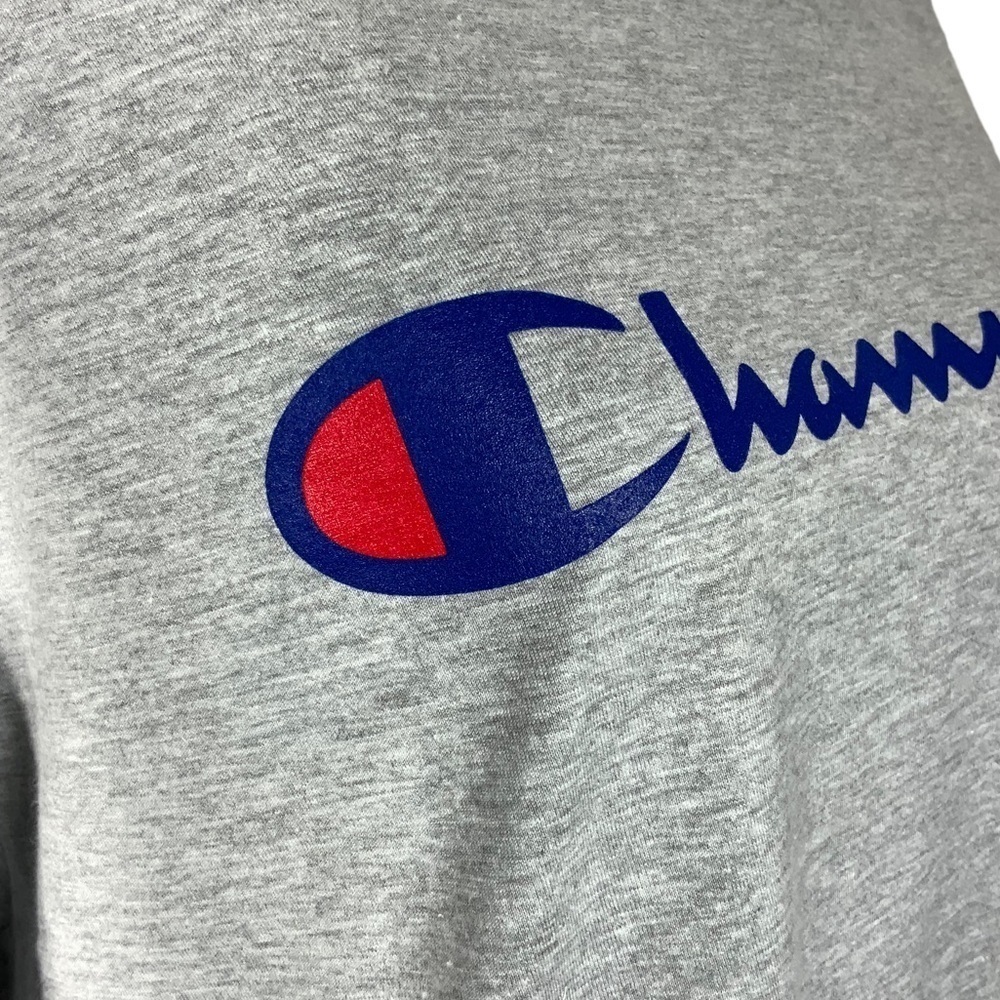 Champion Tee Shirt Graphic Logo Short Sleeve Crew Neck Boxy Grey Women’s Plus 2X - Picture 11 of 16